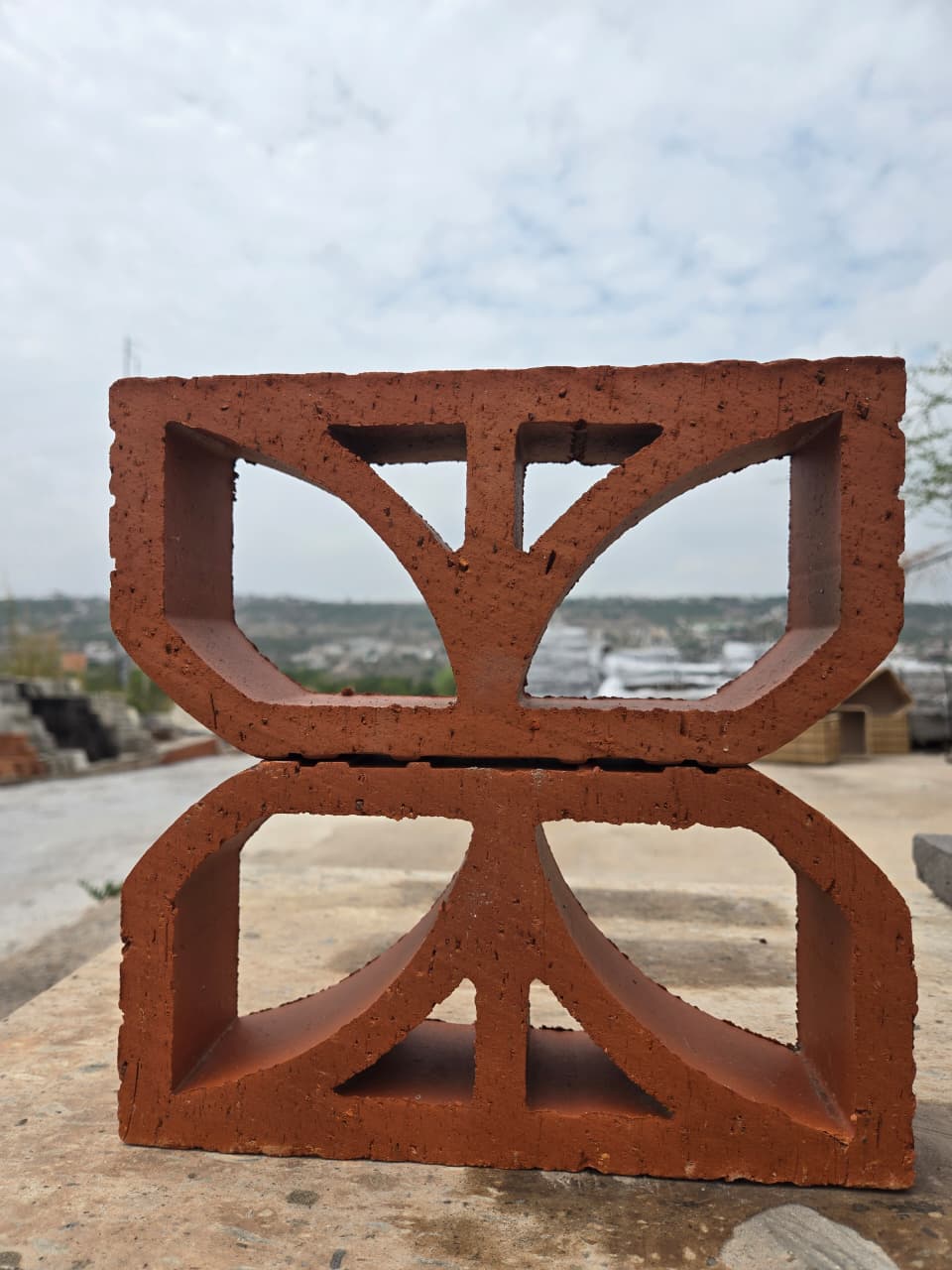 Celocias de Barro